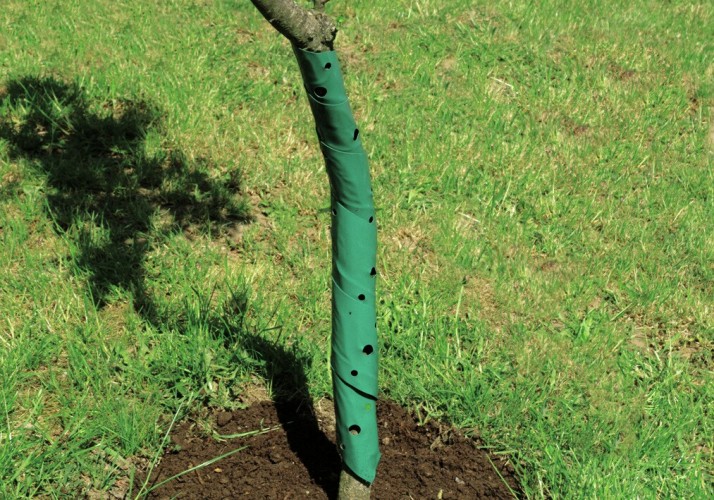 Werkstatt 2019 Milieufoto Baumschutzspirale2er-60cm