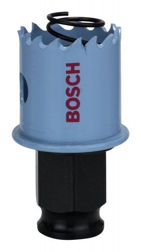 Bosch 2019 Freisteller IMG-RD-164950-15