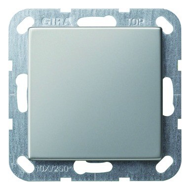 Gira 2020 Freisteller Zentralplatte-Blindabdeckung-1f-System-55-edelstahl-Schraubbefestigung 0268600