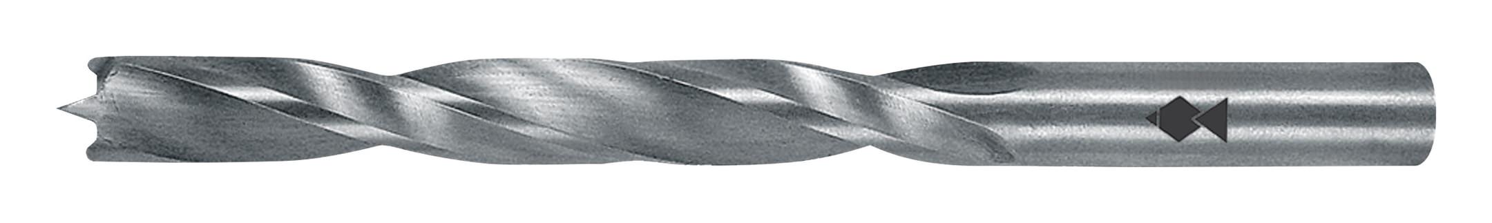 Fisch Holzspiralbohrer HSS R Profi 10 x 70 013C100110 110mm S10mm 