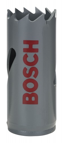 Bosch 2019 Freisteller IMG-RD-173850-15