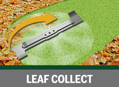 Leaf Collect
