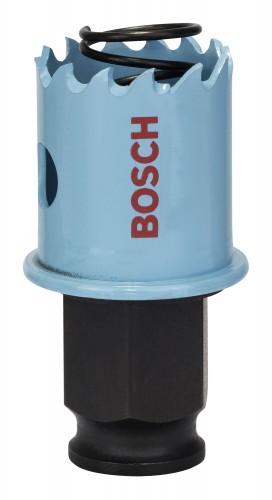 Bosch 2019 Freisteller IMG-RD-184078-15